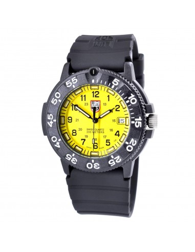 Luminox Navy SEAL Dive Watch Model 3005 À commander