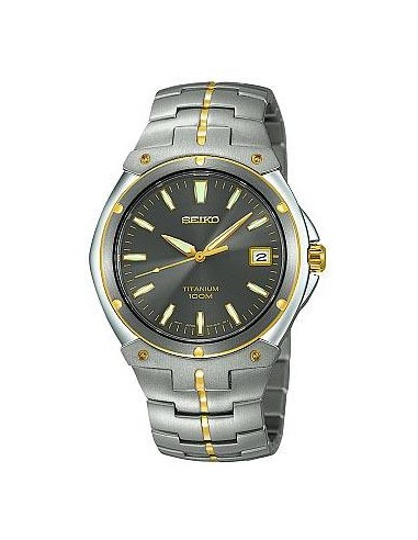 Seiko Men's Mid-Size Quartz Titanium Watch SGEB34 une grave pollution 