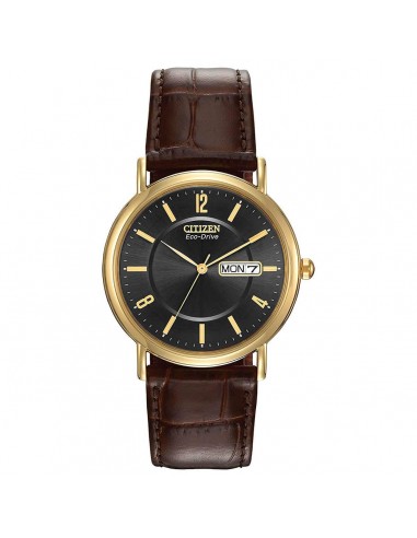 Citizen Men's Strap Watch - Eco Drive Day-Date Black Dial Brown Leather | BM8242-08E Jusqu'à 80% De Réduction